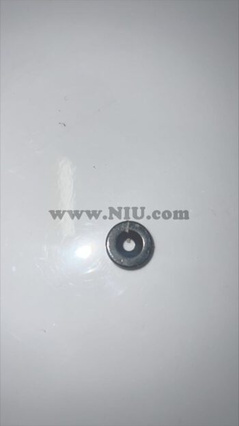 BEENSCHILD MAGNEET NQIX150 500
